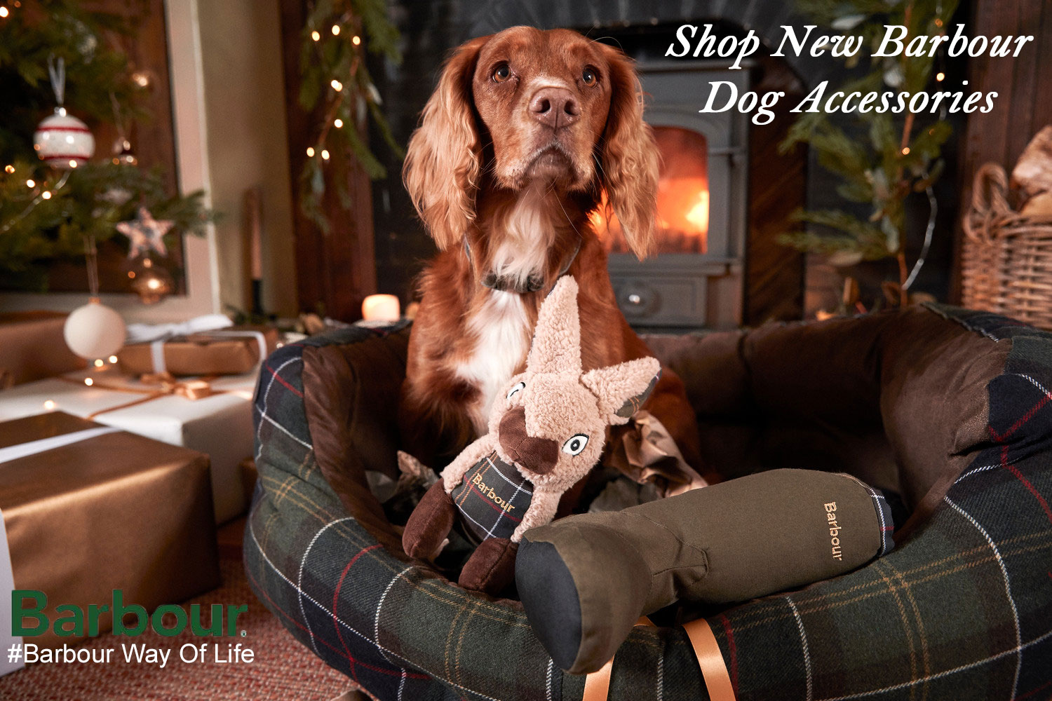 Barbour Dog Accessories