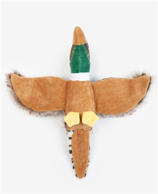 Pheasant