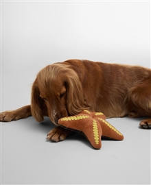Barbour Dog Toy - Starfish