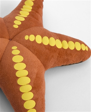 Starfish