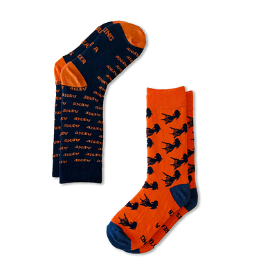 AFNF 2 Pack Fish Socks Blue on Orange