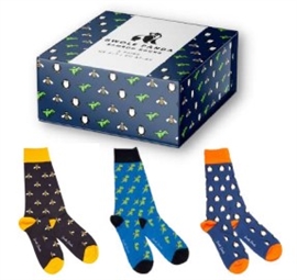 Swole Panda Sock Giftbox 3 - Fun