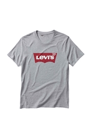 Levi Graphic Set In Neck H215 Tee - Midtone Grey