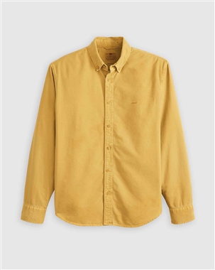 Ziggy Ochre