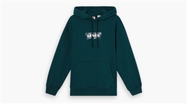 Levi's Standard Graphic Hoodie