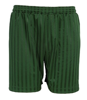 Shadow Stripe Green Shorts