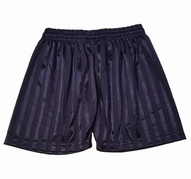 Shadow Stripe Navy Shorts