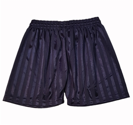 Shadow Stripe Navy Shorts