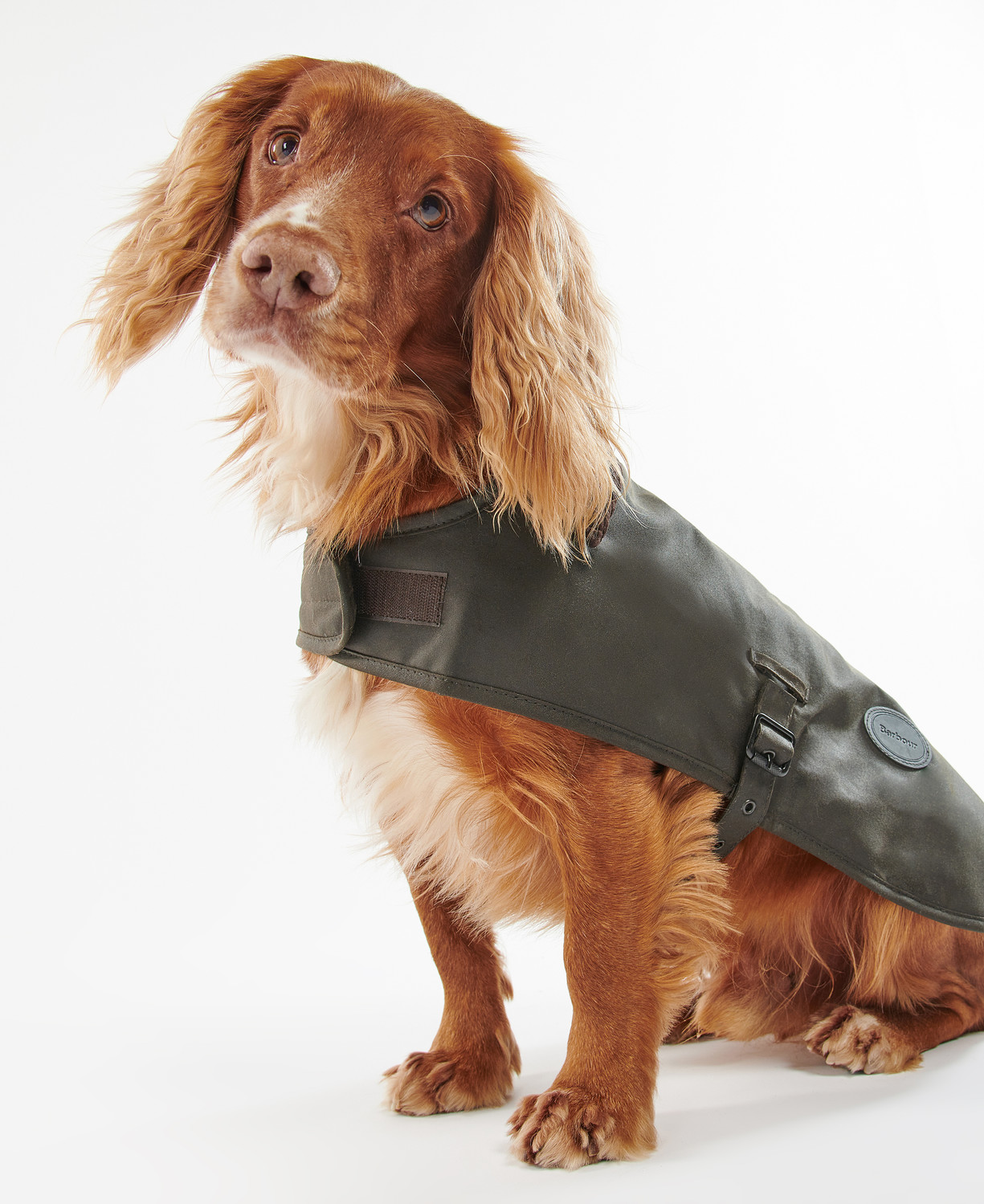 Barbour Dog Accessories